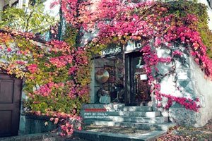 欢迎在宝塔面板安装Z-BlogPHP！