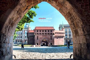 欢迎在宝塔面板安装Z-BlogPHP！